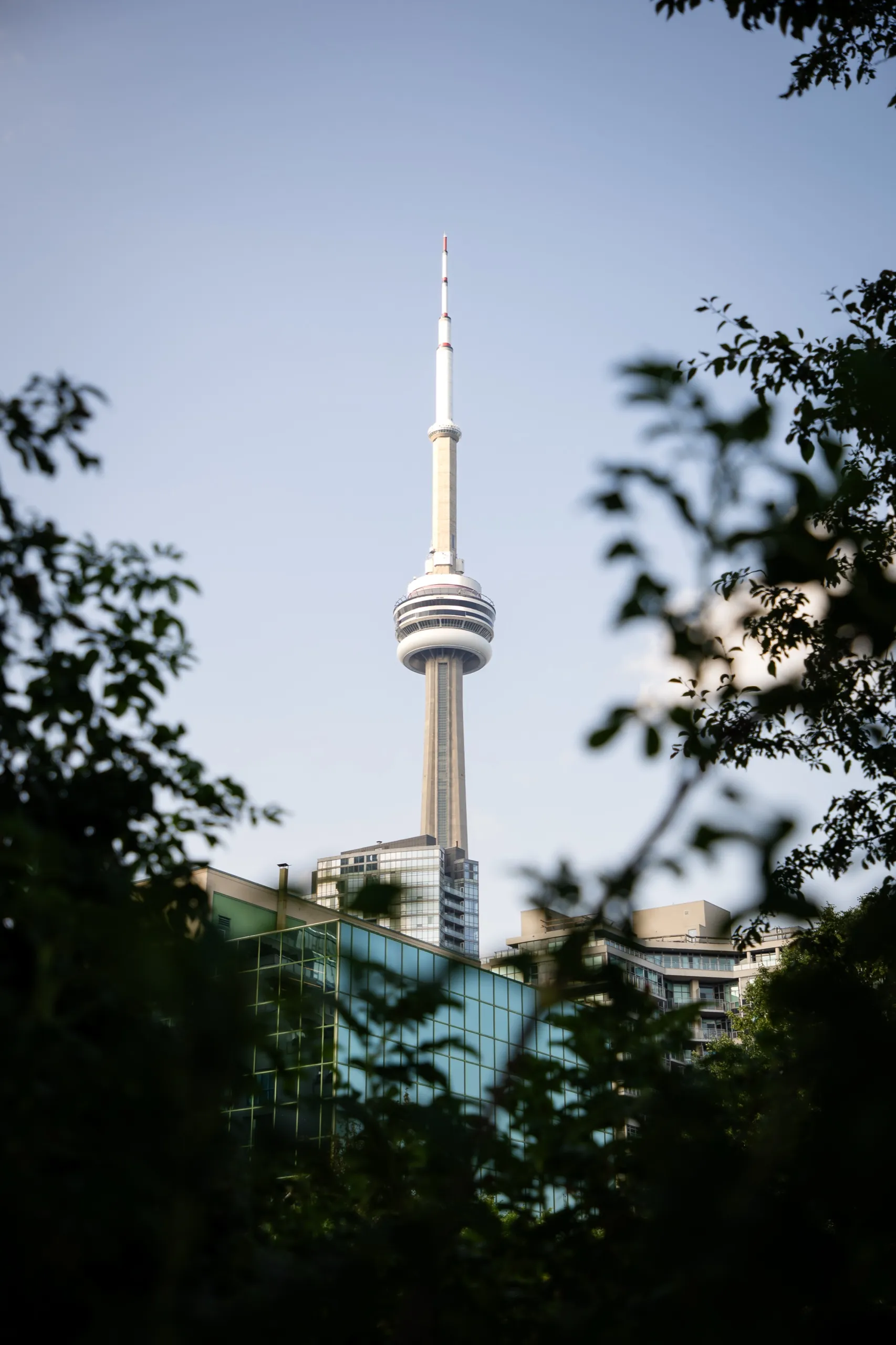 The CN Tower framed through the leaves of the Toronto Music Garden on the downtown Harbourfront, by AD Photography