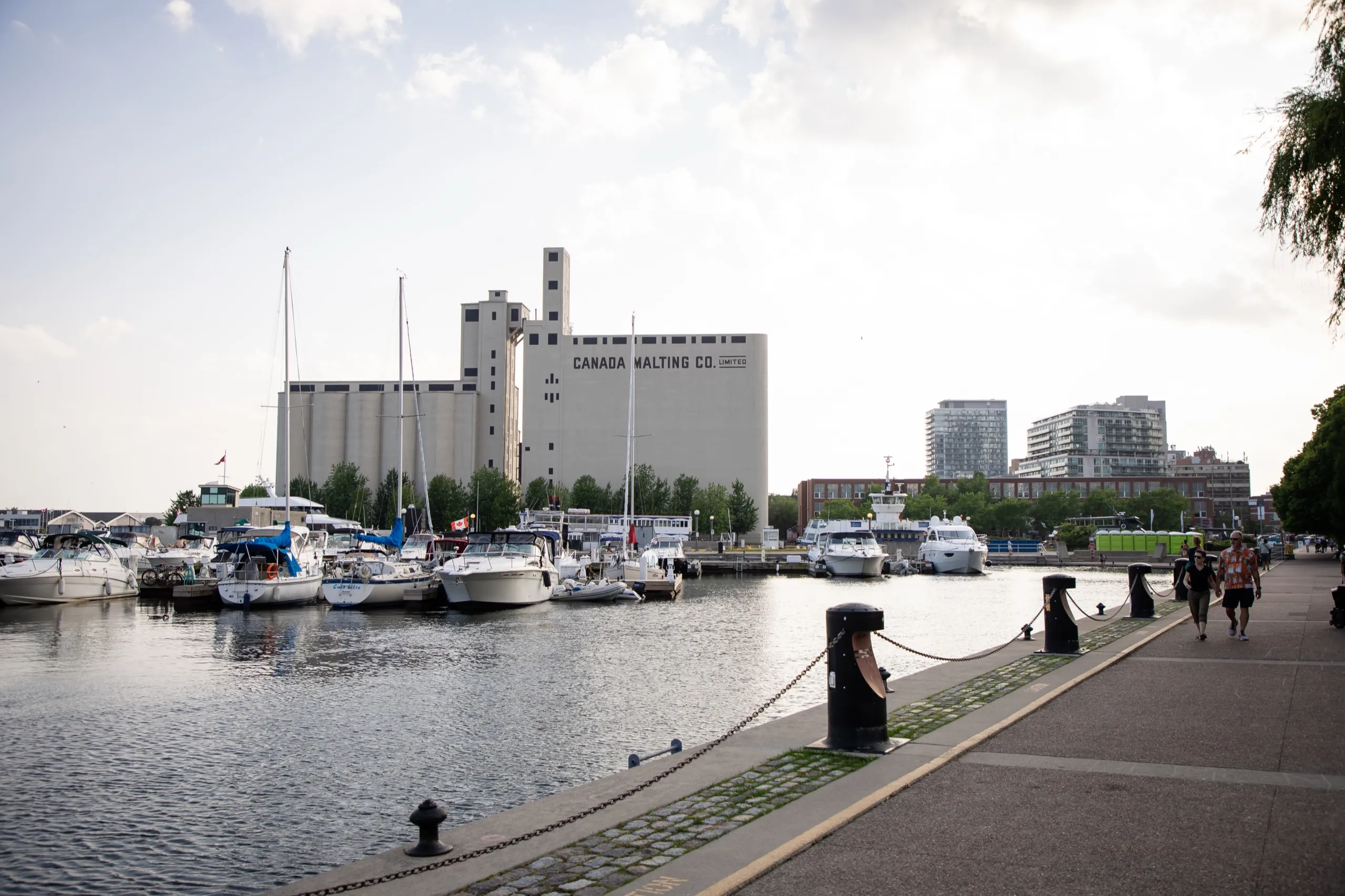 Sailboats moored at the Harbourfront marina beside the Toronto Music Garden, with the Canada Malting silos behind, by AD Photography
