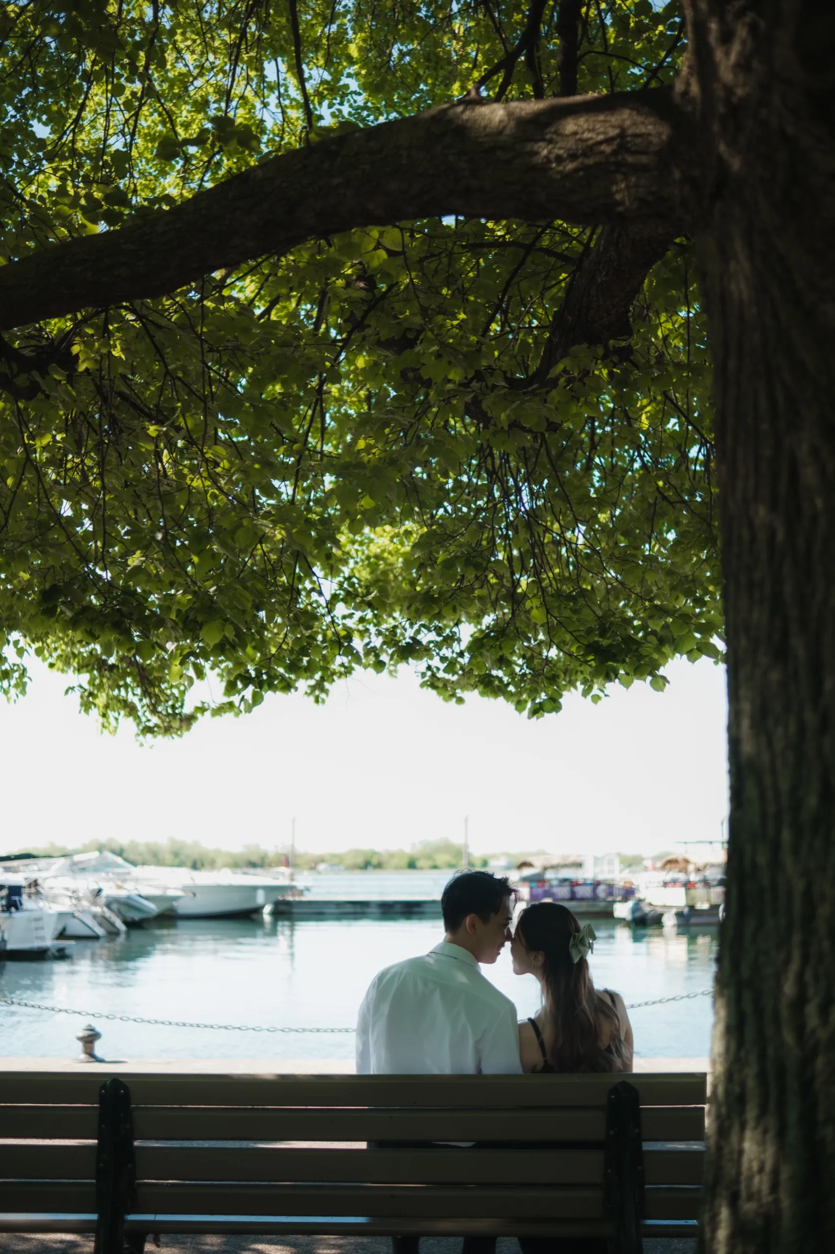 The couple sits on a bench framed by branches with the Toronto harbour and marina behind them, by AD Photography