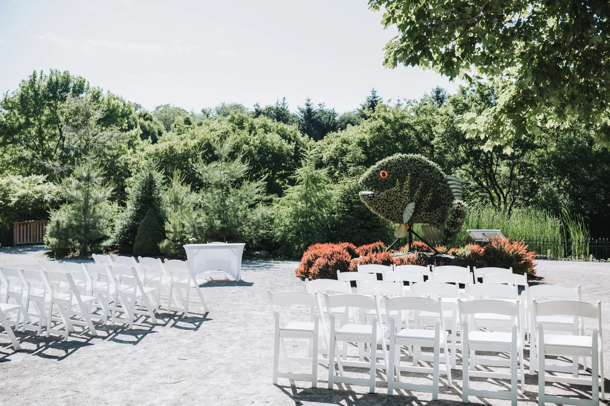 Empty white ceremony chairs facing the giant living fish sculpture at the Niagara Parks Botanical Gardens, by AD Photography