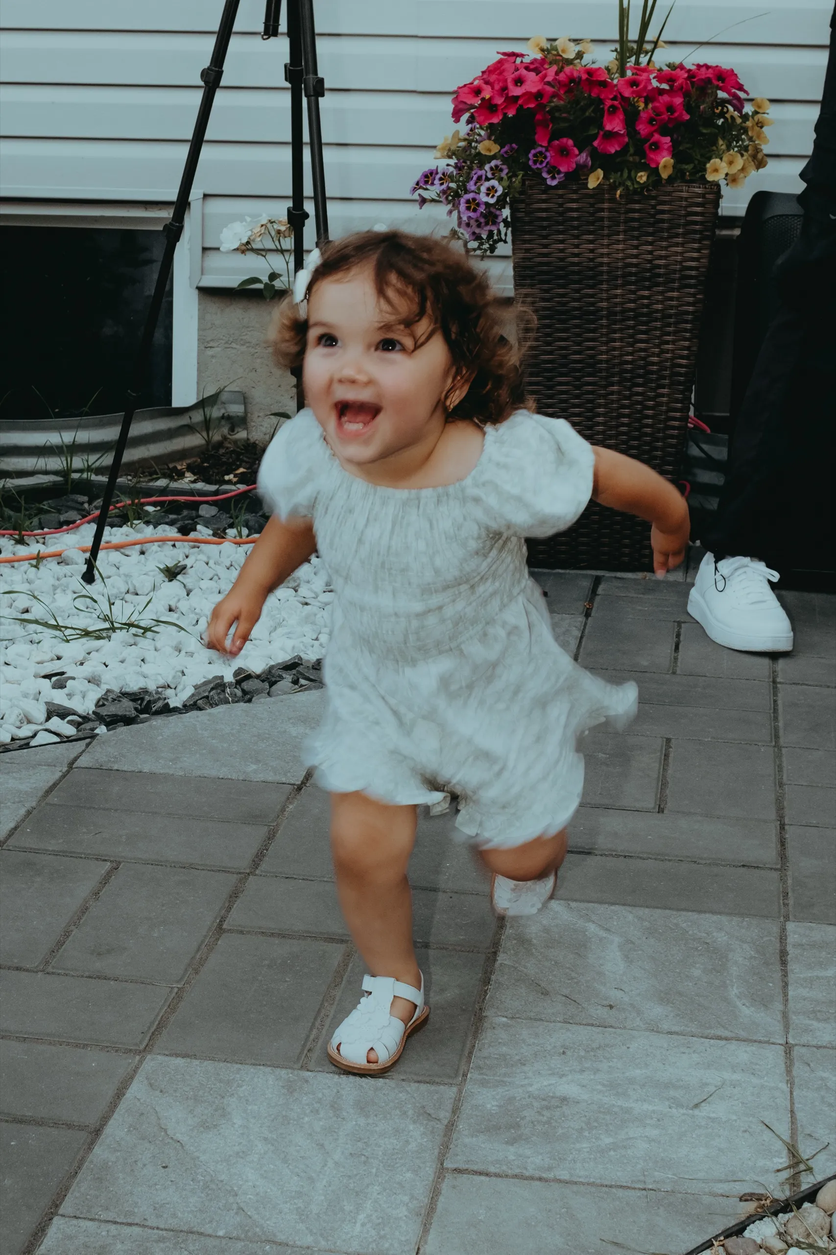 Nora + Ali, Backyard Wedding, Toronto photography by AD Photography