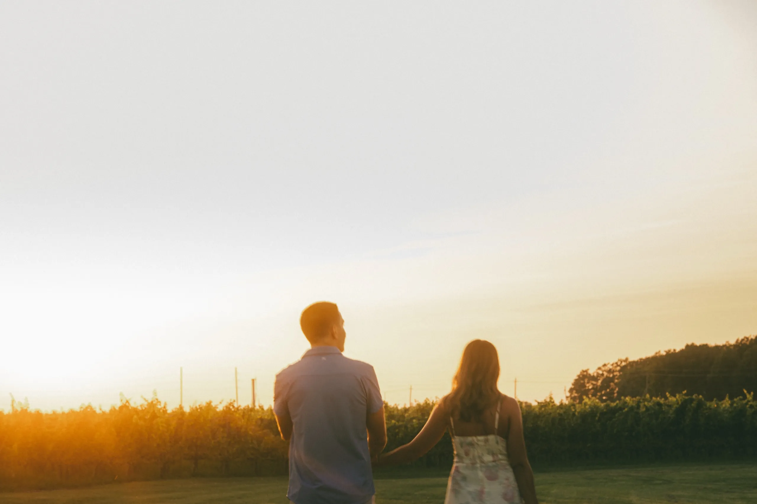 Ashley and Donald walking hand in hand into the sun above the vineyard at Château des Charmes, by AD Photography
