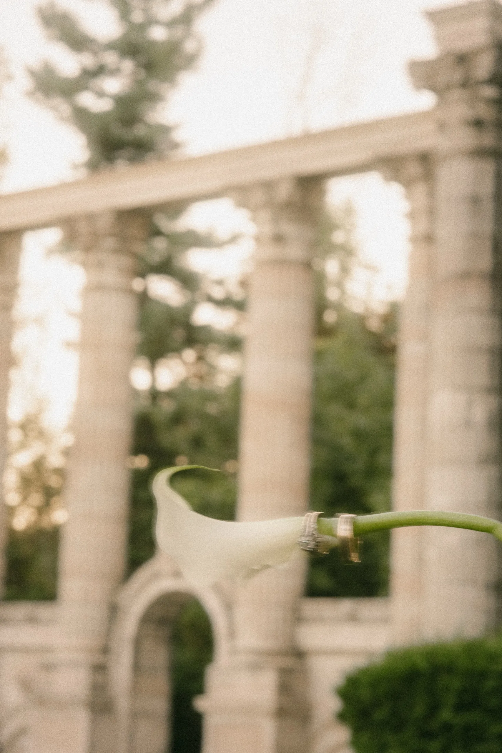 Engagement ring and wedding band stacked on a white calla lily stem with the columns soft behind, at Guild Park, by AD Photography