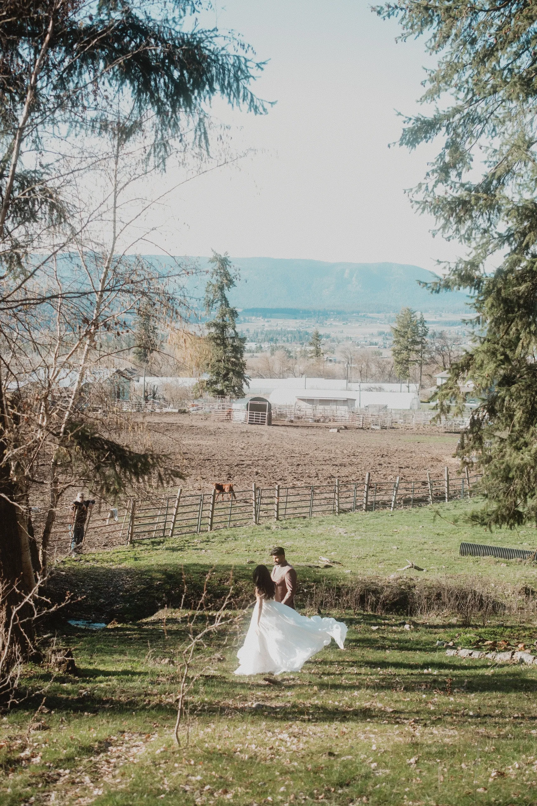 The couple tiny in a green pasture, framed through pine branches below a mountain ridge, by AD Photography
